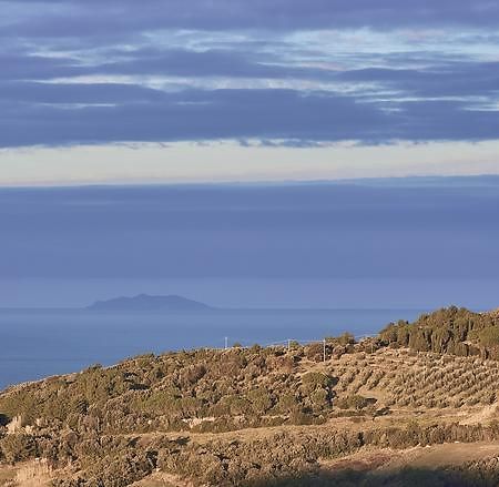 Willa Agriturismo Alberelli Rosignano Marittimo Pokój zdjęcie