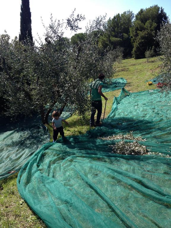 Willa Agriturismo Alberelli Rosignano Marittimo Zewnętrze zdjęcie