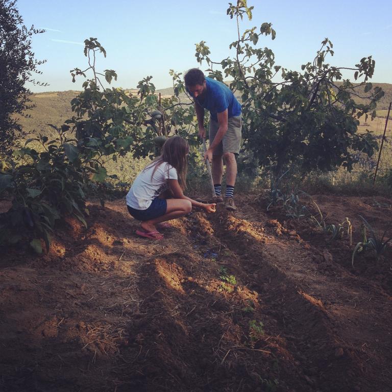 Willa Agriturismo Alberelli Rosignano Marittimo Pokój zdjęcie